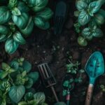 Comment préparer votre jardin pour chaque saison : outils indispensables